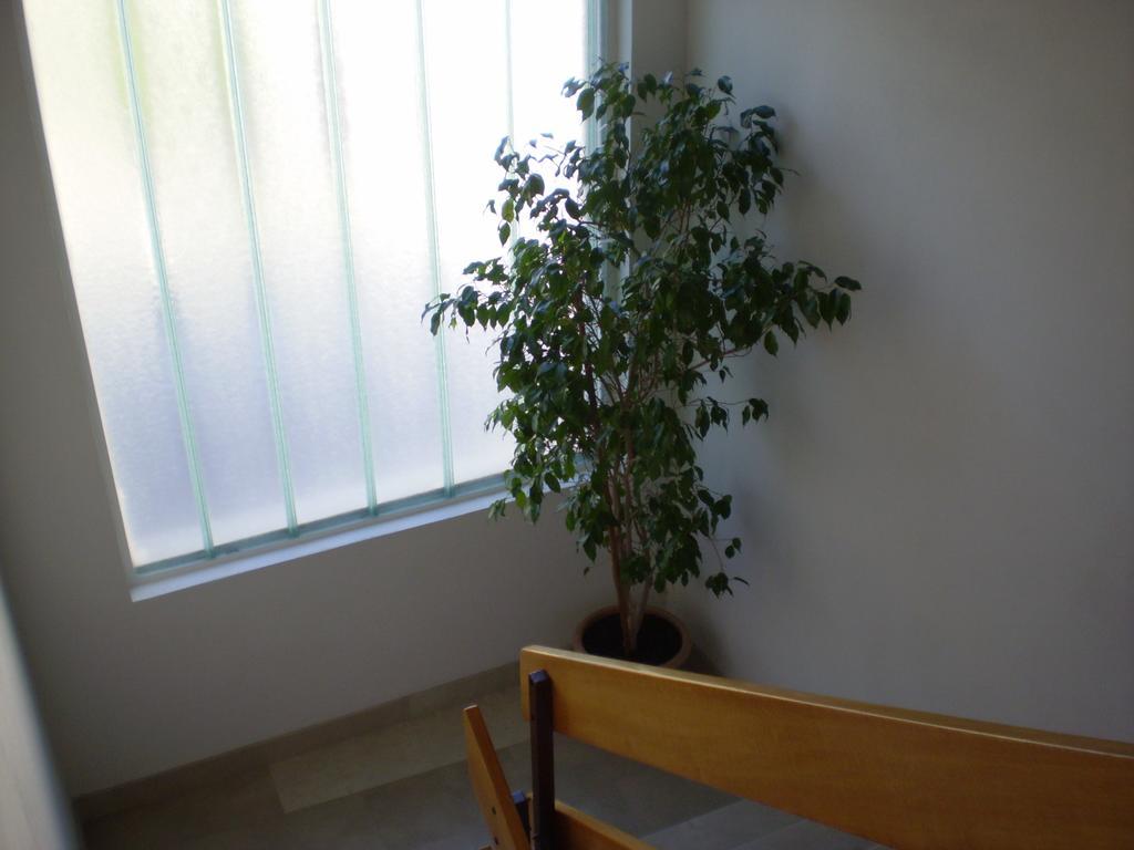 Jurasovic Apartment